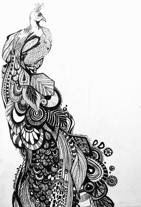 Peacock Line Drawing at PaintingValley.com | Explore collection of ...