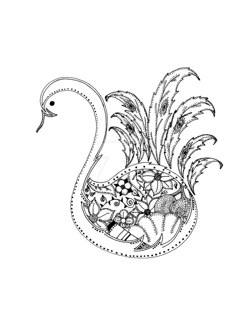 762x1048 Peacock Line Drawing - Peacock Line Drawing