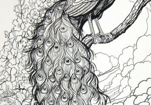 300x210 peacock pencil drawing peacock rangoli pencil sketch - Peacock Pencil Drawing