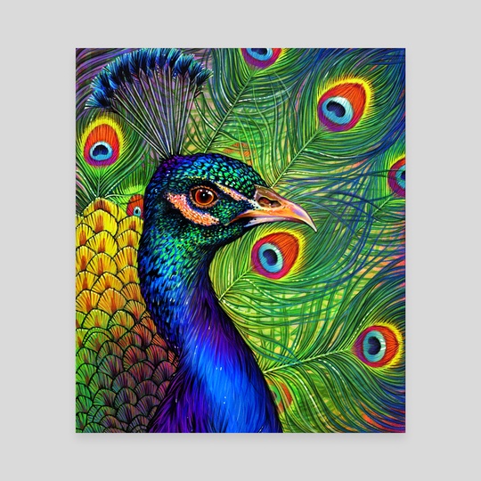 540x540 Peacock Drawing An Art Canvas - Peacock Pictures For Drawing