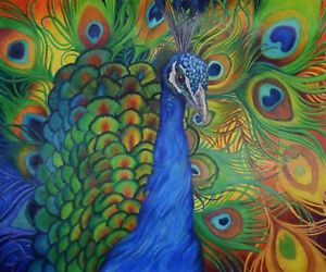 300x250 sonja oldenburg original colored pencil peacock drawing peacock - Peacock Pictures For Drawing