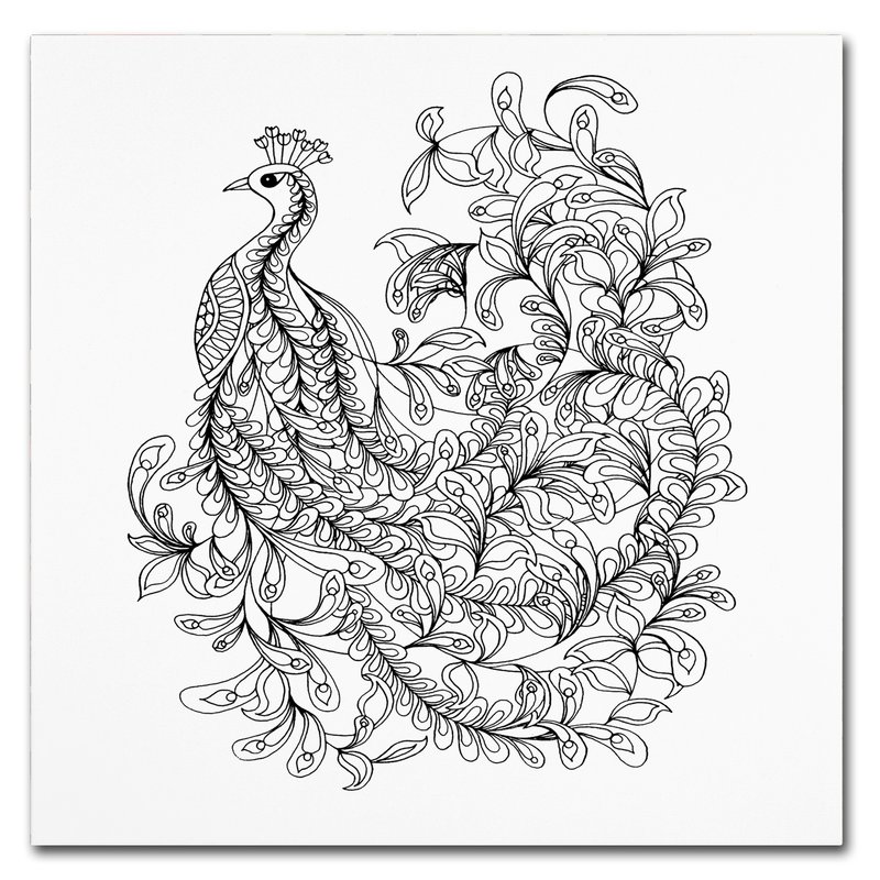 800x800 Trademark Art 'fancy Peacock' Drawing Print On Wrapped Canvas - Peacock Pictures For Drawing