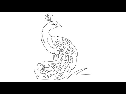 480x360 How To Draw A Peacock Easy Step Step Drawing Lessons For Kids - Peacock Sketch Drawing