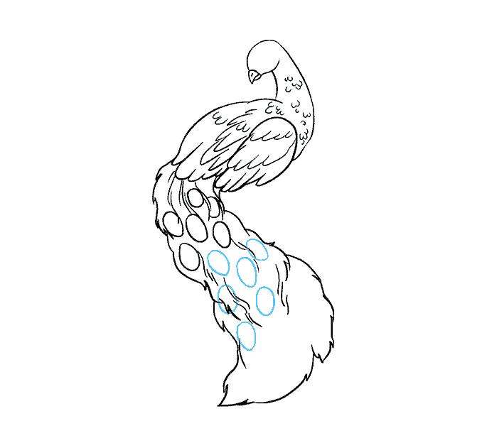 678x600 how to draw a peacock in a few easy steps easy drawing guides - Peacock Sketch Drawing