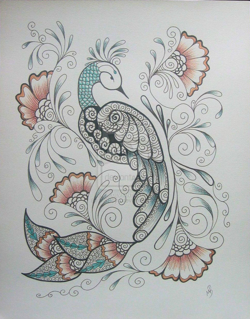 802x1024 peacock pencil drawing peacock sketch with pencil peacock pencil - Peacock Sketch Drawing