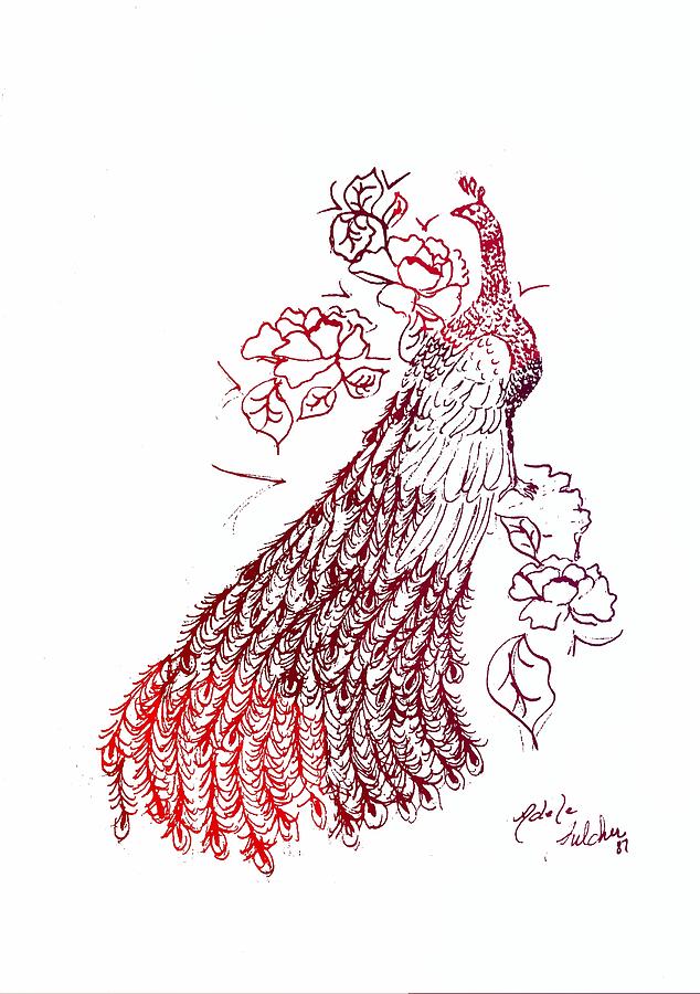 634x900 Peacock Sketch Drawing - Peacock Sketch Drawing