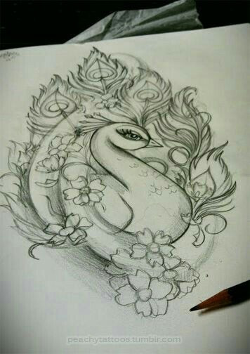 356x504 peacocks - Peacock Sketch Drawing