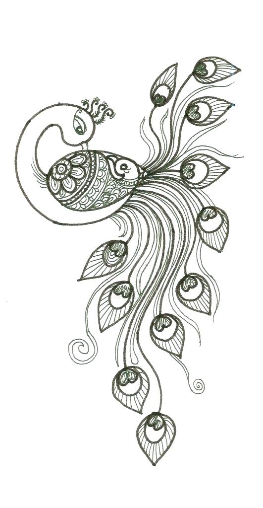 531x1023 Peacock Black And White Allgeo - Peacock Sketch Drawing