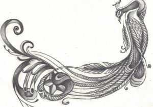 300x210 beautiful pencil sketches peacock beautiful pencil drawings - Peacock Sketch Drawing