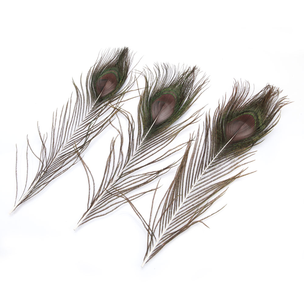1000x1000 lots wholesale natural real peacock tail eye feathers - Peacock Tail Drawing