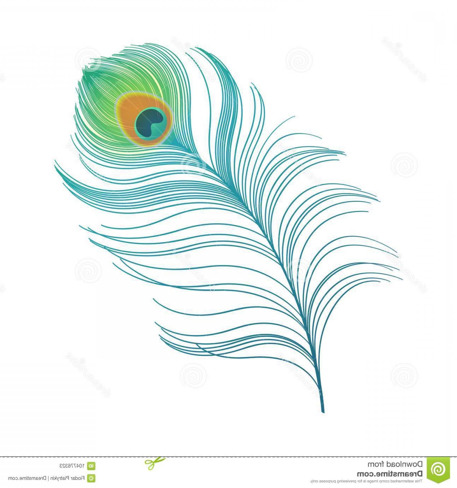 1560x1668 peacock feather vector clip art soidergi - Peacock Tail Drawing