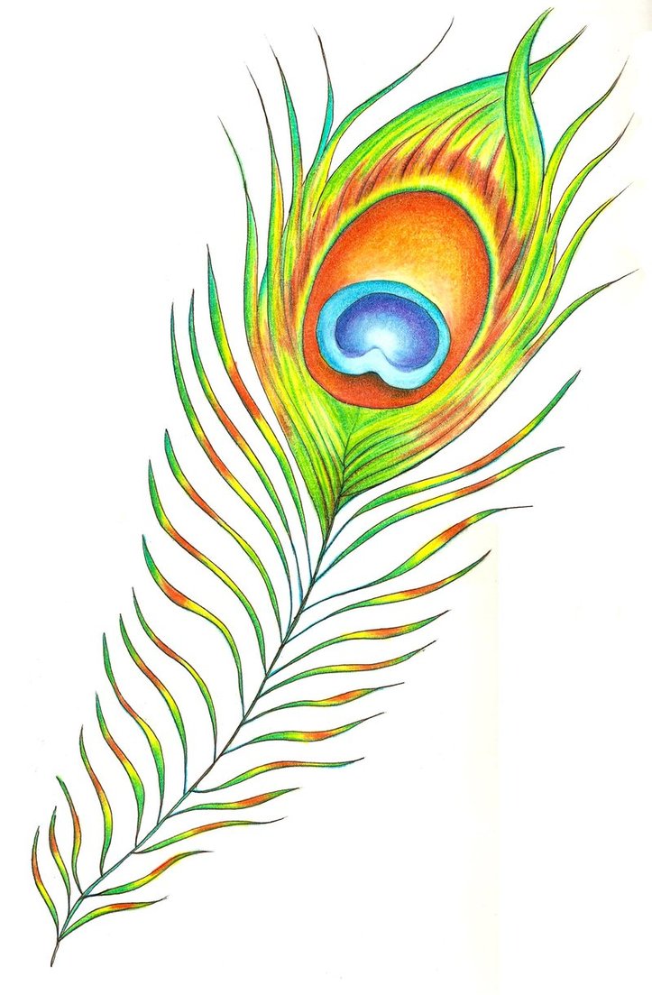 723x1103 Decorating Ideas Amazing Image Of Green And Blue Peacock Feather - Peacock Tail Drawing