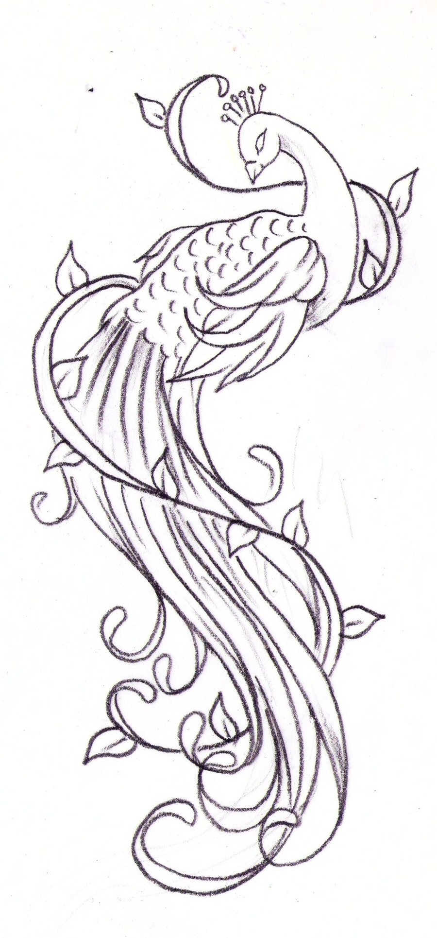 900x1930 Awesome Peacock Tattoo Designs And Ideas - Peacock Tattoo Drawing
