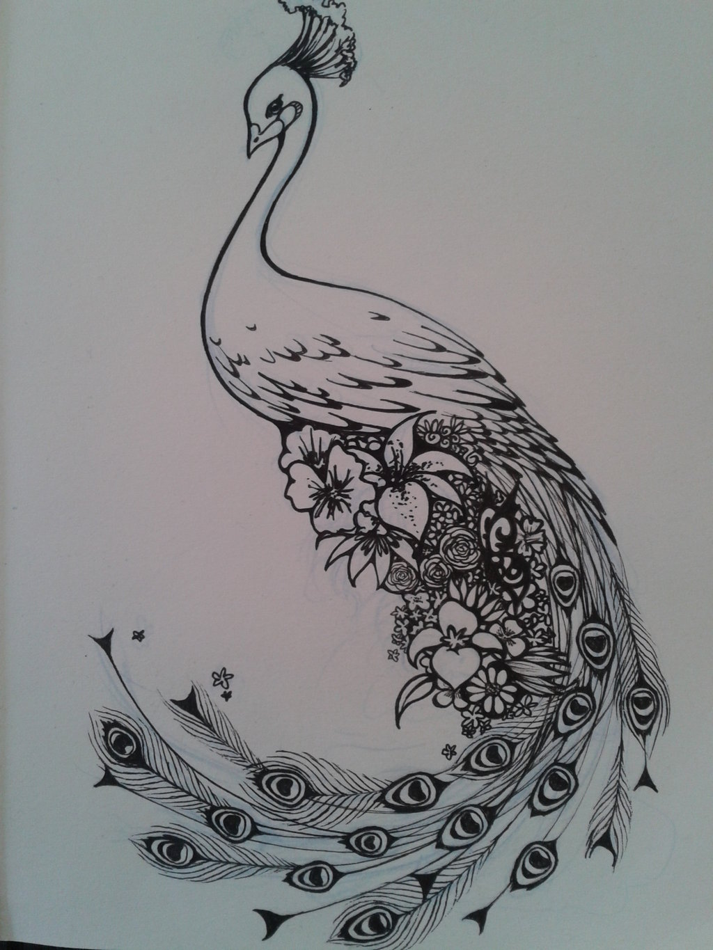 Peacock Tattoo Drawing at PaintingValley.com | Explore collection of ...