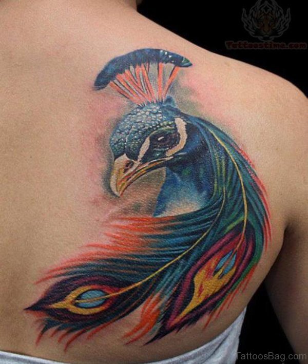 600x709 classy peacock tattoo on shoulder - Peacock Tattoo Drawing