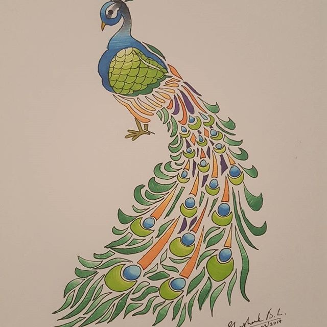 640x640 Drawn Peafowl Branch Drawing - Peafowl Drawing