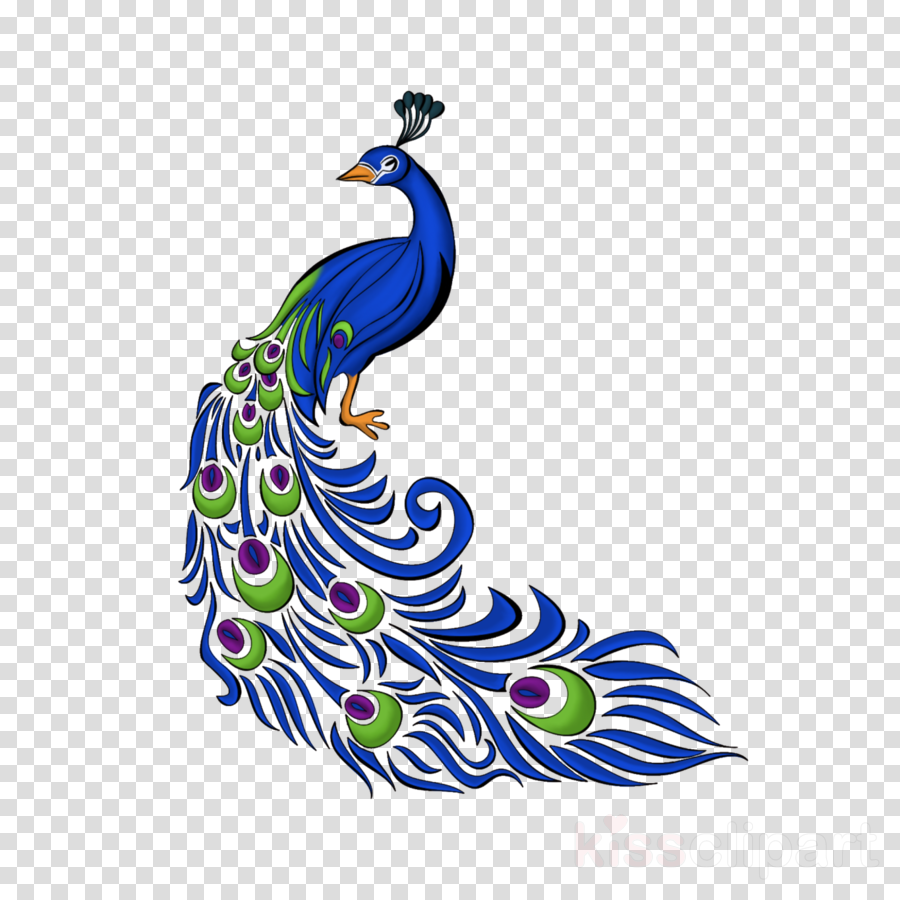 900x900 Feather, Tree, Transparent Png Image Clipart Free Download - Peafowl Drawing