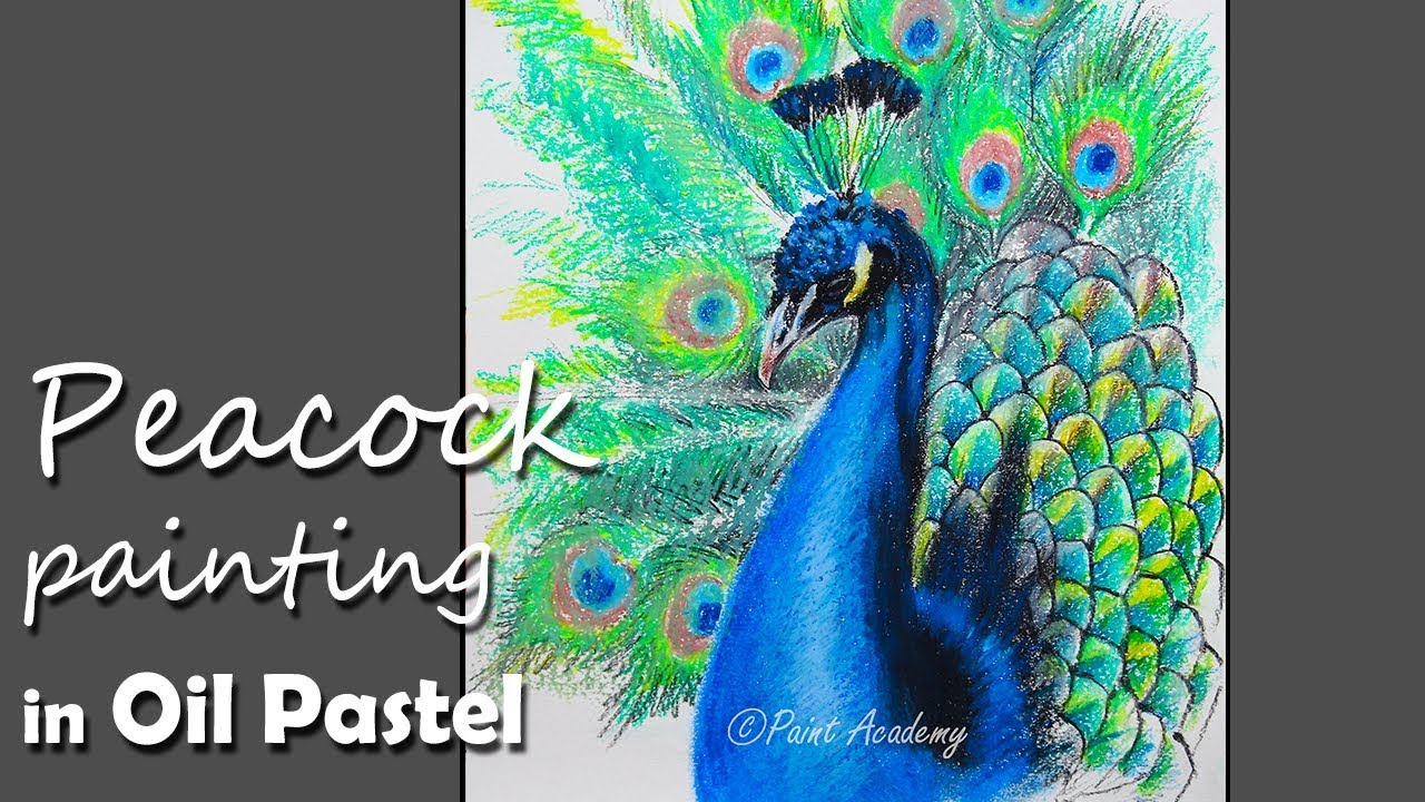 1280x720 How To Draw A Peacockpeafowl In Oil Pastel - Peafowl Drawing