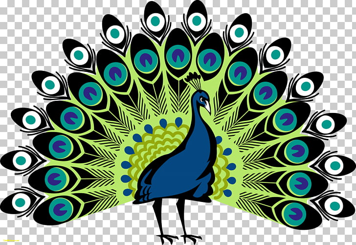 728x501 peafowl drawing symbol coat of arms peacock png clipart free - Peafowl Drawing