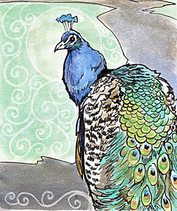 252x300 Peafowl Drawings Fine Art America - Peafowl Drawing