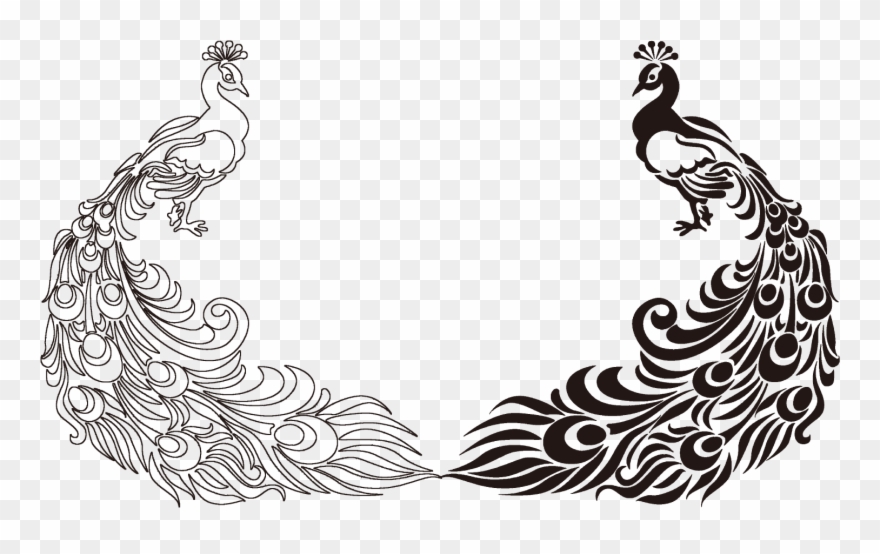 880x554 Peafowl Feather Bird Drawing Clip Art - Peafowl Drawing