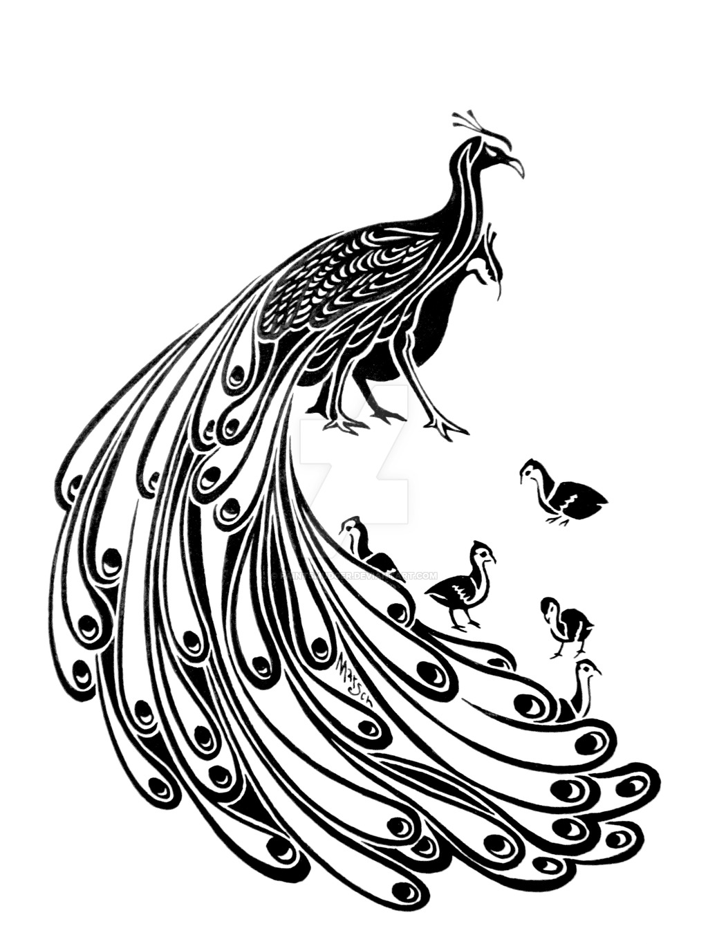 1024x1365 Peafowl - Peafowl Drawing