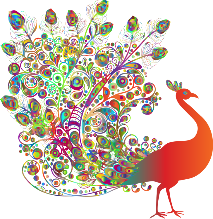 728x750 Bird Indian Peafowl Drawing Cc0 - Peafowl Drawing