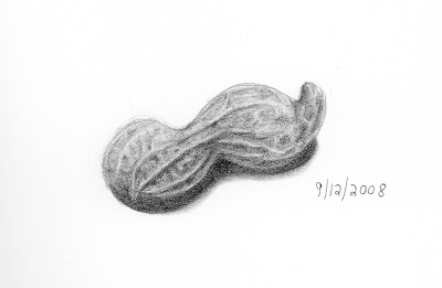 400x261 Laurel Neustadter Illustration Edm - Peanut Drawing