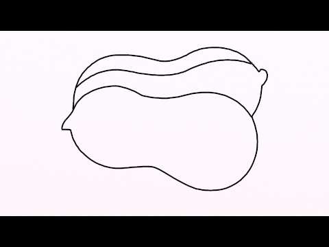 480x360 How To Draw Peanut Easy Drawing For Kids Step - Peanut Drawing