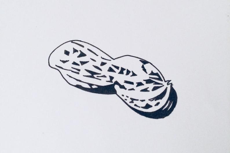 794x529 Peanut Illustration Artwork Drawing Pen And Ink Black And Etsy - Peanut Drawing