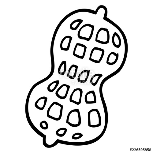 500x500 Line Drawing Cartoon Peanut Stock Image And Royalty Free Vector - Peanut Drawing