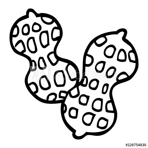 500x500 line drawing cartoon peanut - Peanut Line Drawing