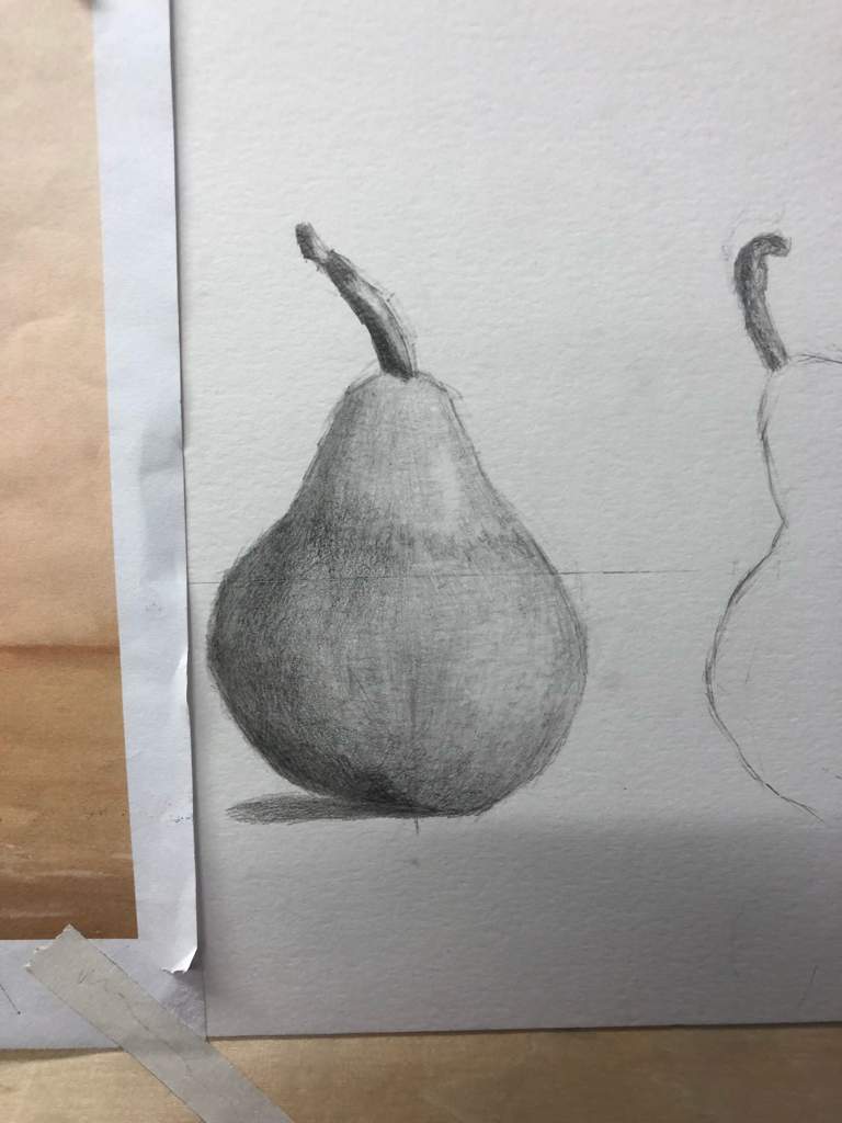 768x1024 Pear Drawing Learning Artists Amino - Pear Drawing