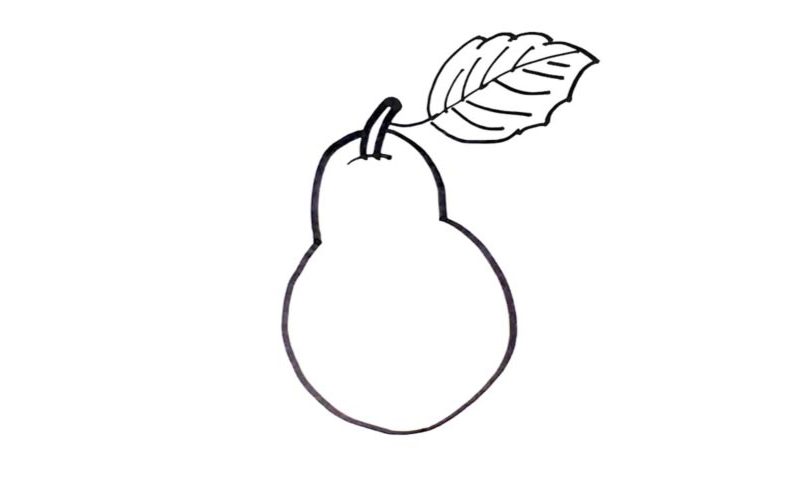 800x480 Pear Drawing Amazing Drawing Skill - Pear Drawing