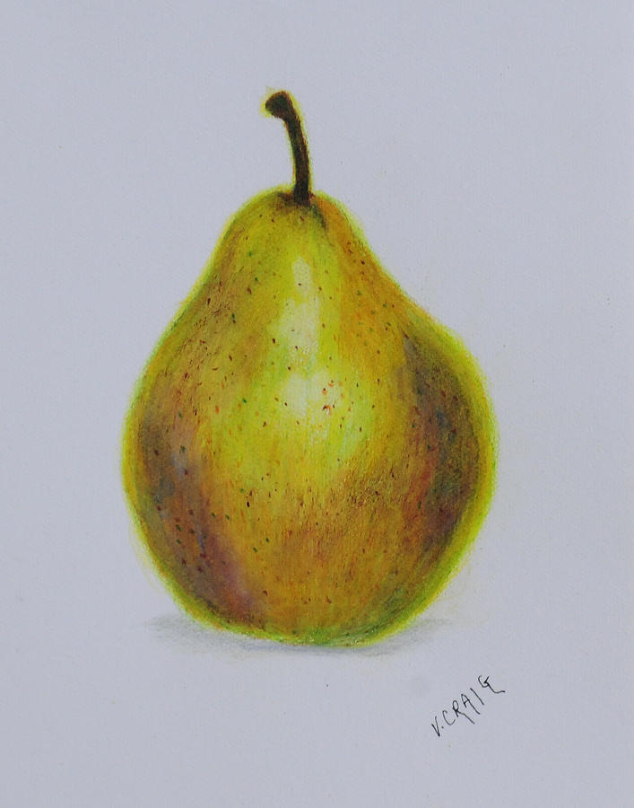 707x900 Pear Drawing - Pear Drawing