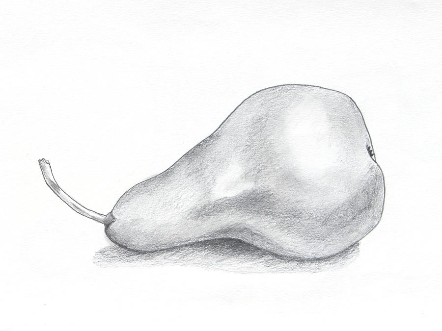 900x675 Pear Graphote Pencil Still Life Art On Paper - Pear Drawing