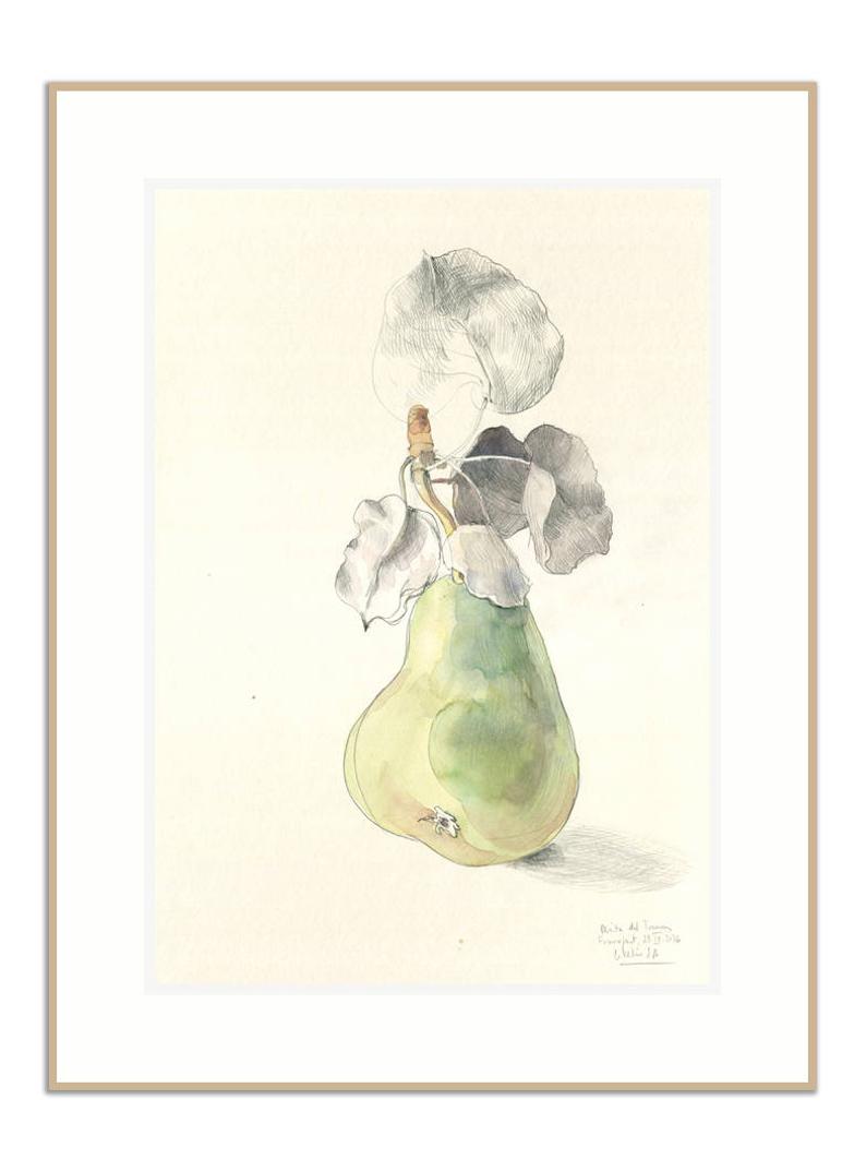 794x1073 Pear Drawing Print Watercolour And Pencil Drawing Of Gren Etsy - Pear Drawing