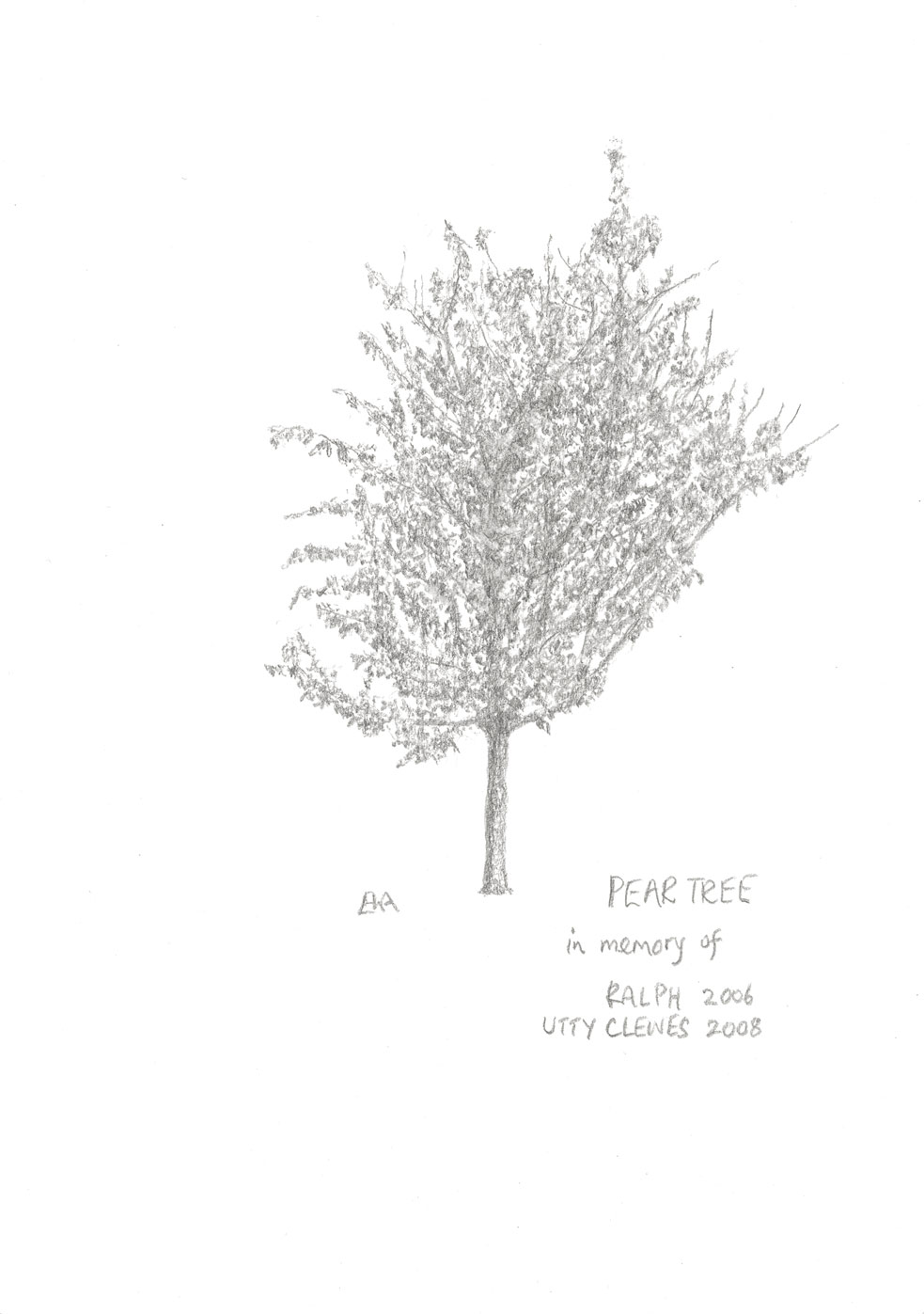 983x1397 Blog Tree Drawings - Pear Tree Drawing