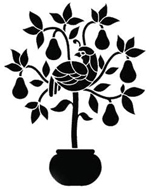 151x190 Frank's Plant A Pear Tree Drawing - Pear Tree Drawing