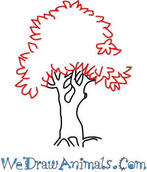 300x350 How To Draw A Pear Tree - Pear Tree Drawing