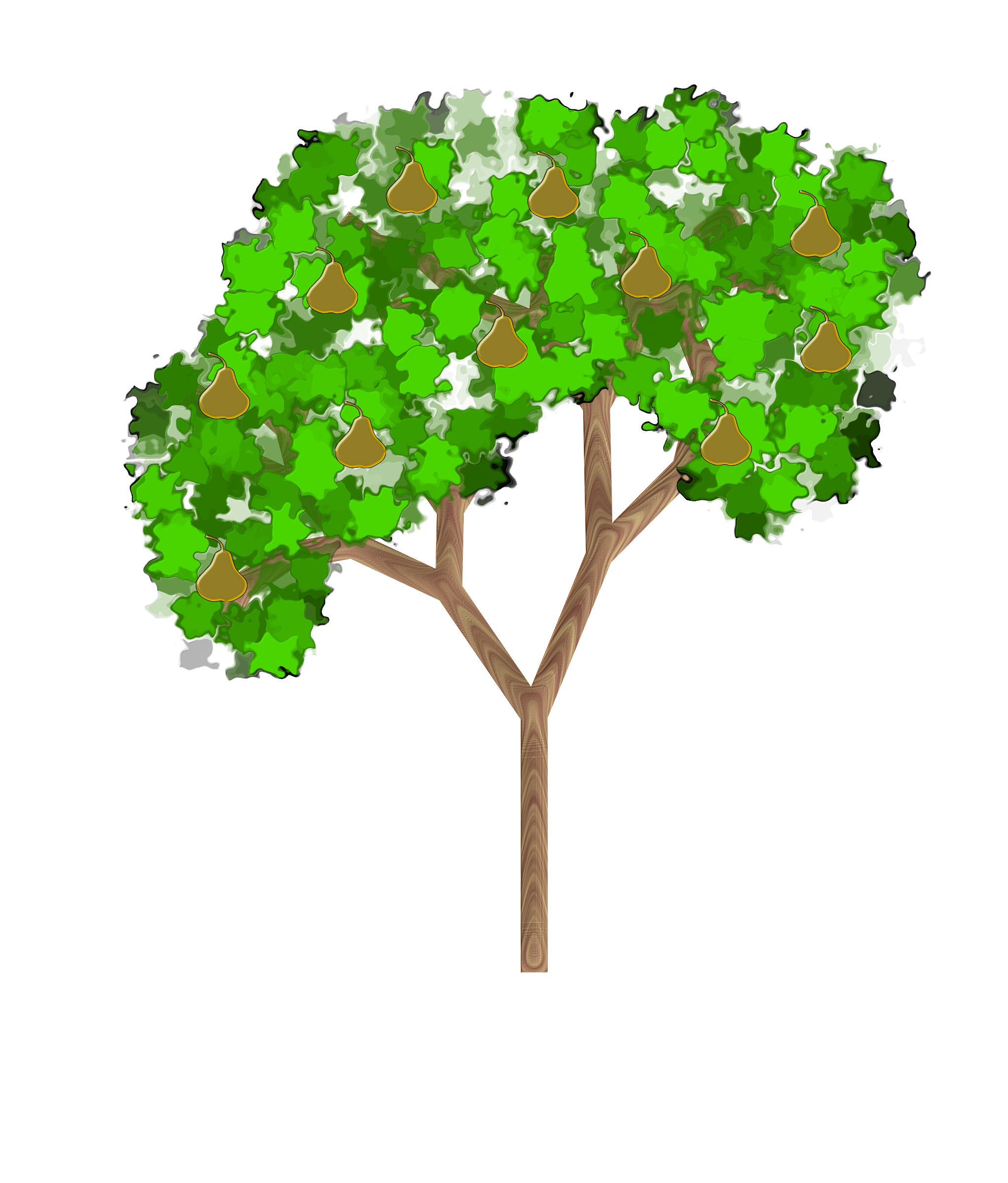 2045x2400 Pear Tree Picture Download - Pear Tree Drawing