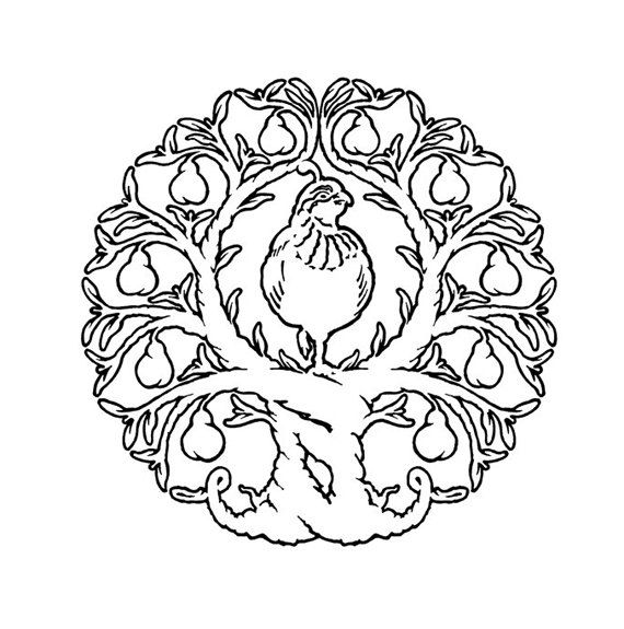 570x575 Partridge In A Pear Tree Line Drawing - Pear Tree Drawing