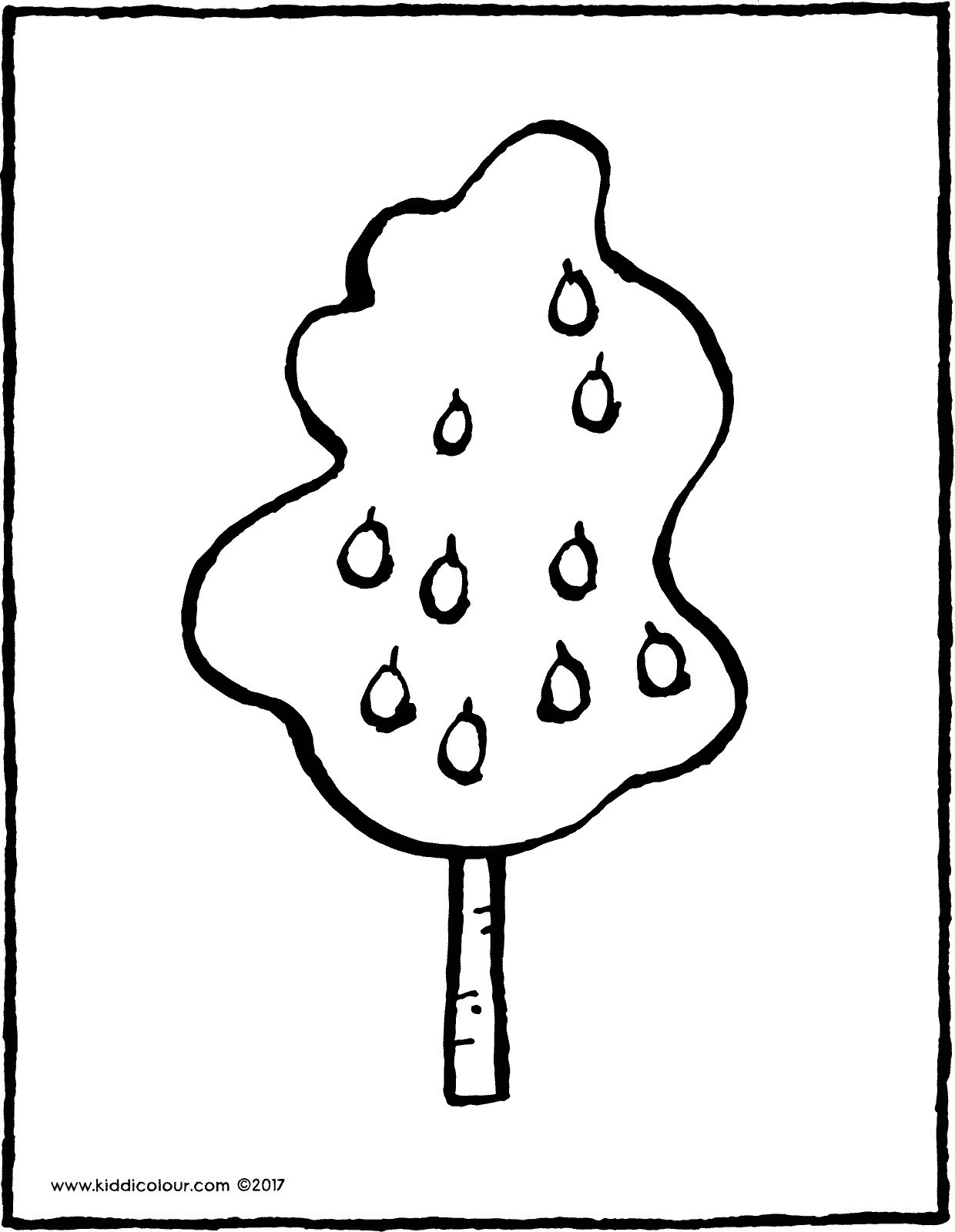 1240x1600 Pear Tree - Pear Tree Drawing