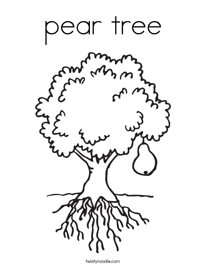 685x886 Pear Drawing Pear Tree For Free Download - Pear Tree Drawing