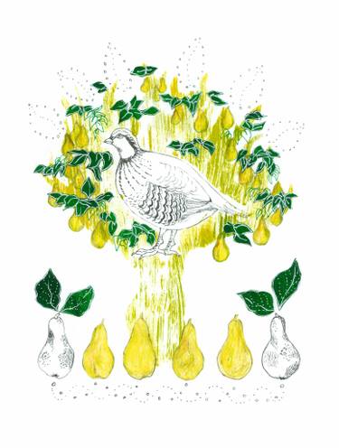 375x496 A Partridge In A Pear Tree Drawing - Pear Tree Drawing