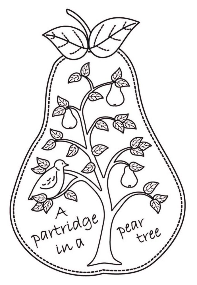 693x1000 Partridge In A Pear Tree - Pear Tree Drawing