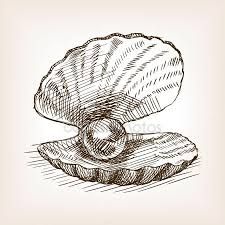 225x225 image result for pearl clam shell sketch draw shell tattoos - Pearl Drawing