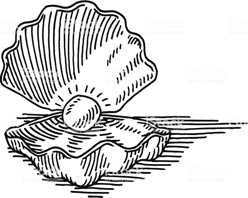 1024x818 Huge Collection Of 'pearl Drawing' Download More Than Images - Pearl Shell Drawing