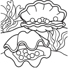 230x230 top free printable shell coloring pages online - Pearl Shell Drawing