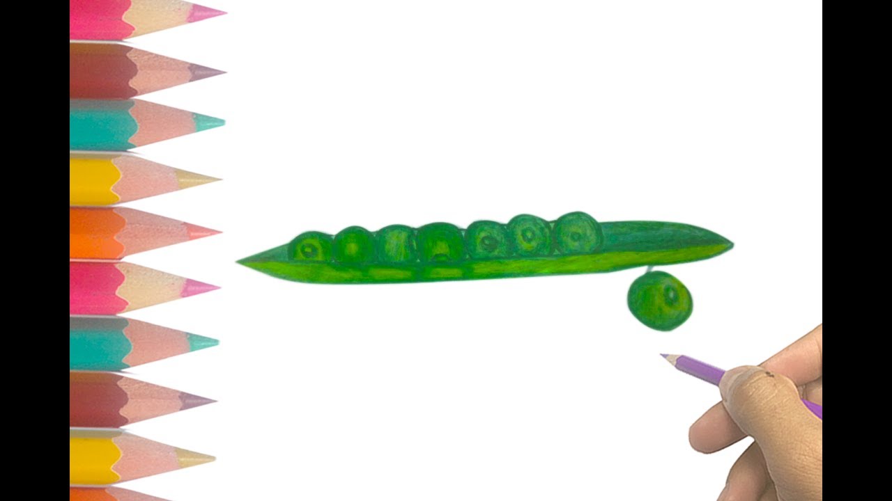 1280x720 how to draw pea easy and simple drawing of peas hd - Peas Drawing